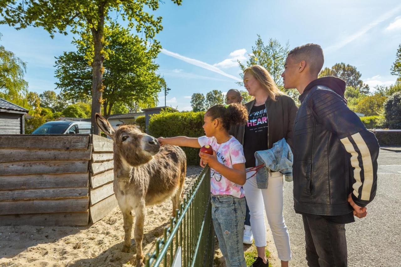 Europarcs Molengroet Parque de vacaciones Noord-Scharwoude