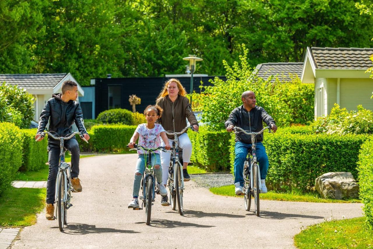 Parque de vacaciones Europarcs Molengroet 4*