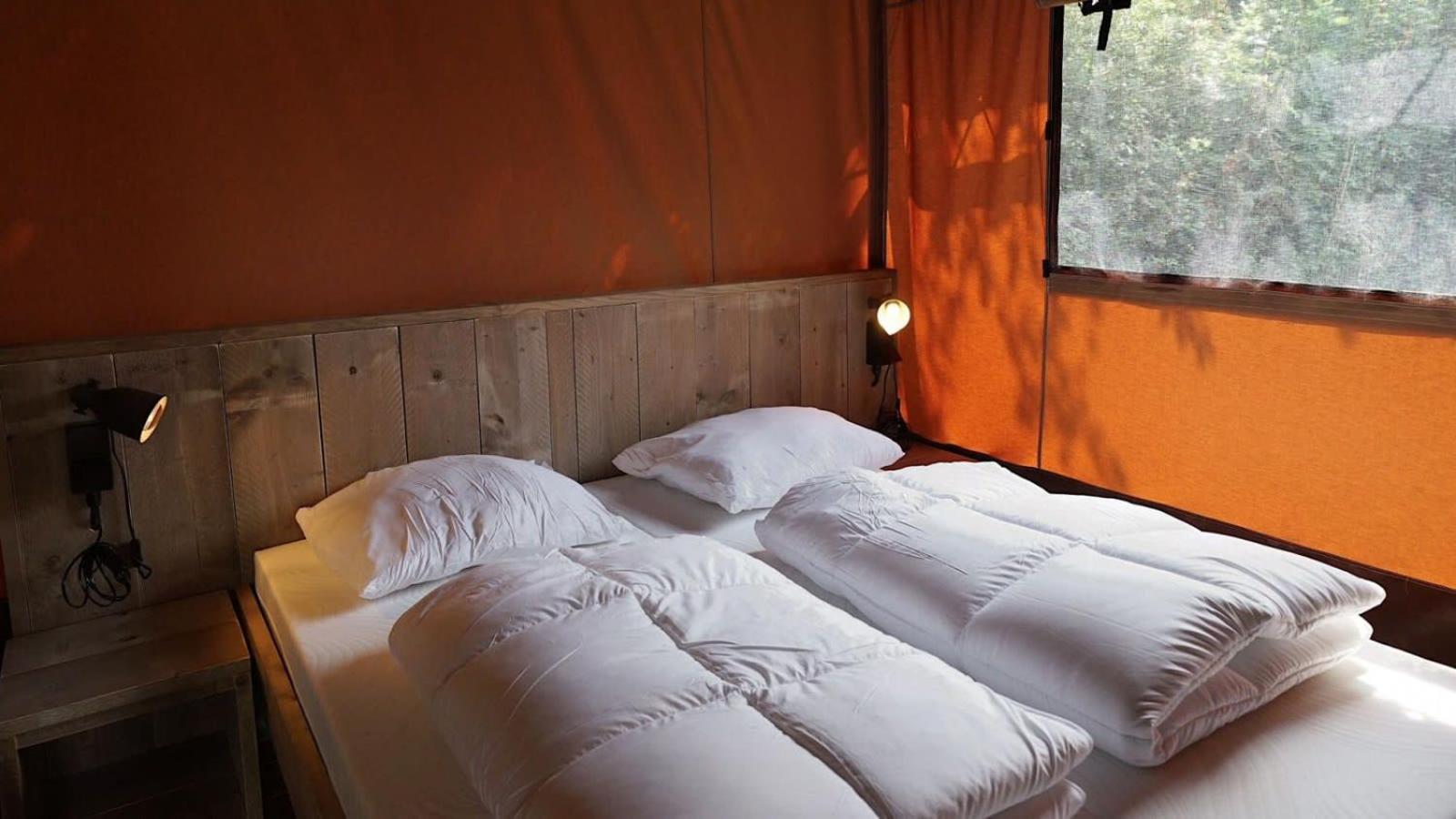 Europarcs Molengroet 4* Noord-Scharwoude
